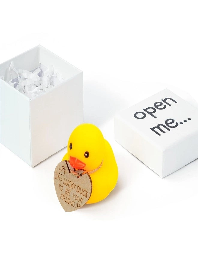 Lucky Duck - Mini Rubber Gift Set