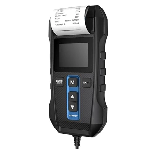 FVGshshDH BT300P - 12V
