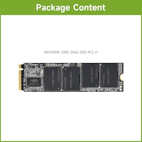 NX M2 NVME - 256GB 42 Inches