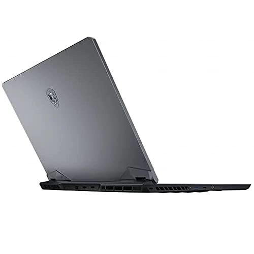 GE76 Raider - 17.3'' Core i7-11800H 16GB DDR4 1TB SSD