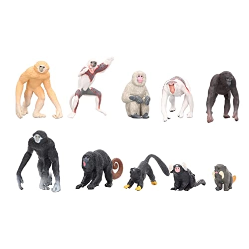 Primate Animal Model Set - 10 pieces
