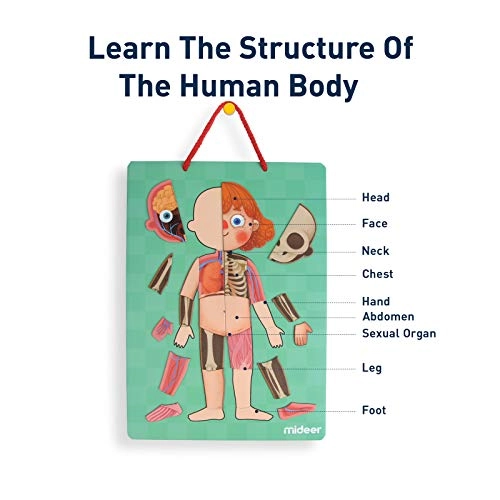 Human Body Puzzle Human Anatomy - 6 years+ 90 pieces