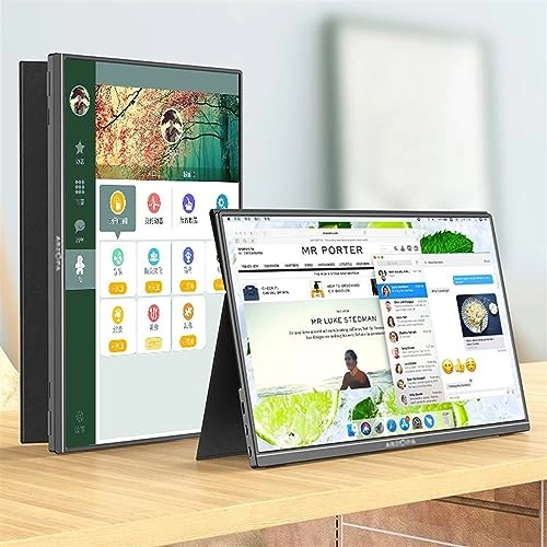 Portable Monitor - FHD 17.3-inch