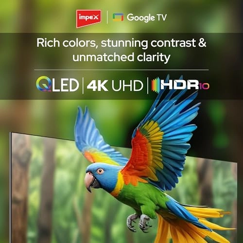 evoQ 65S4QLC2R120 - 65 in