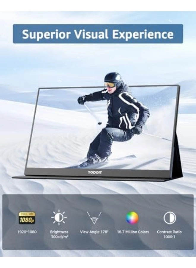 Portable Monitor - Full HD 17.3"