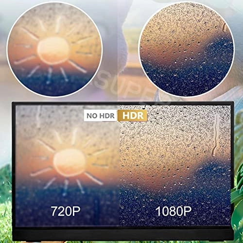 Portable Monitor - 1080P FHD 17.3 Inch