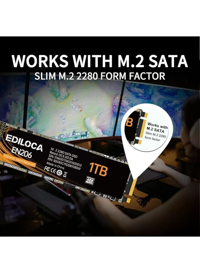 EN206 - 1TB M.2 2280