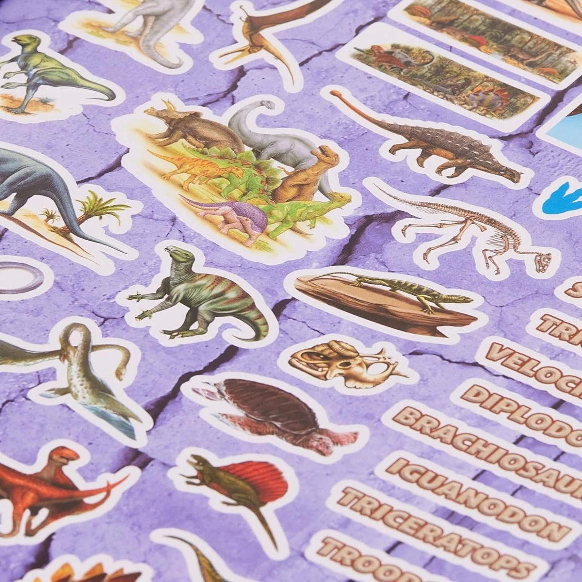 Dinosaur Sticker Book Reusable 1000 pcs