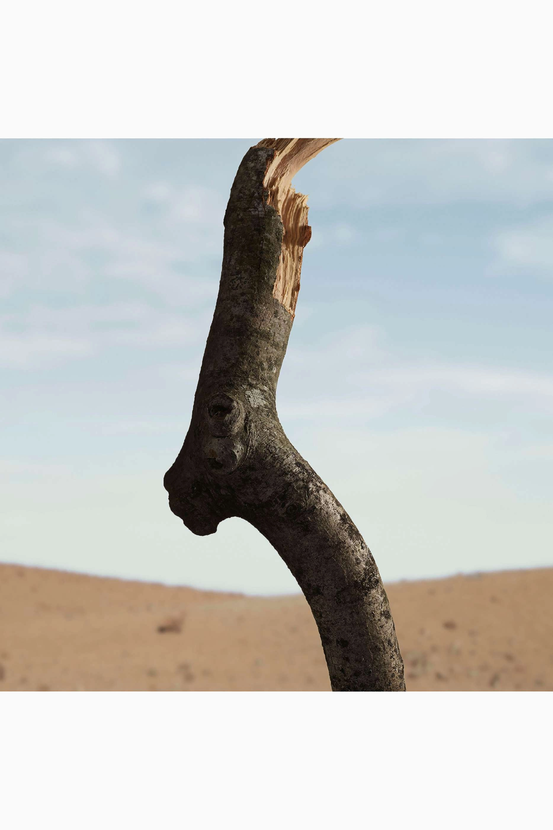 Oud Storm Eau de Parfum 100 ml