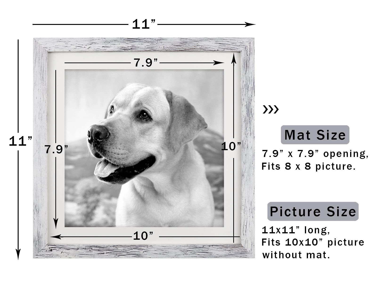 Picture Frame - 10x10