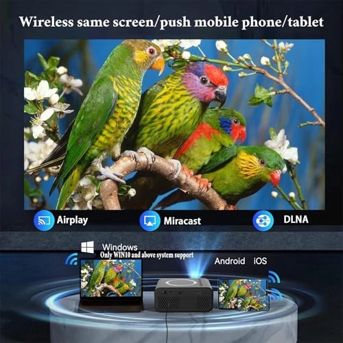 Mini Projector - 320 x 240