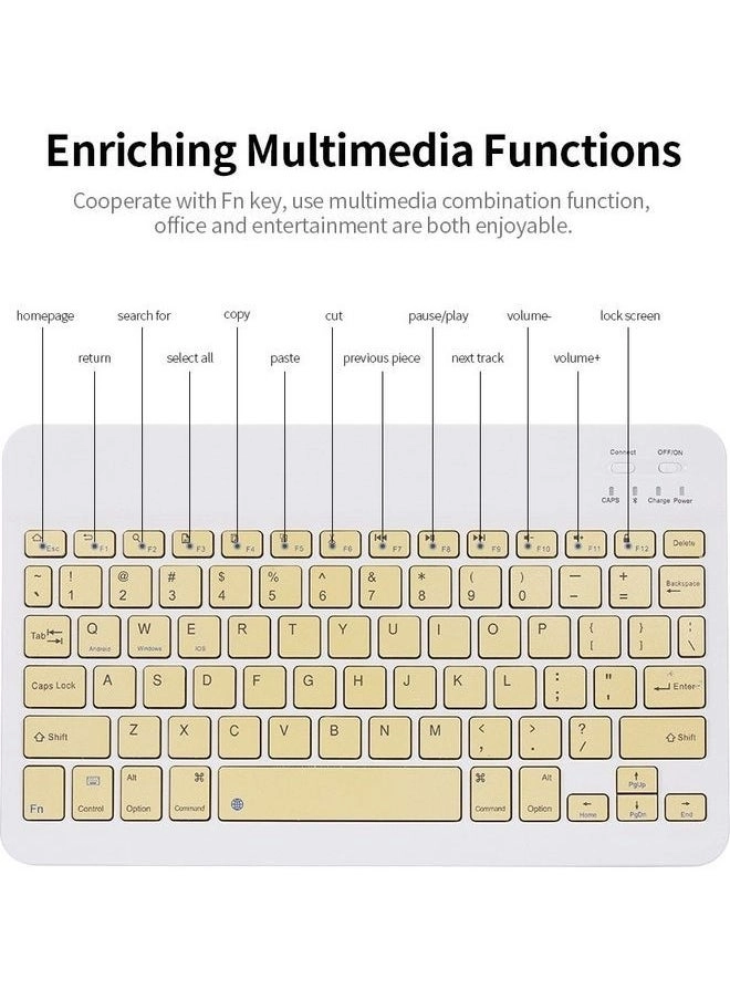 FWC10087GR - Wireless