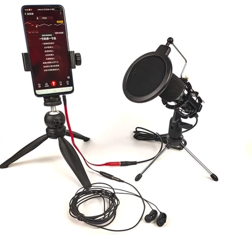 Condenser Microphone Set - Stand Set USB/3.5mm Mobile Karaoke
