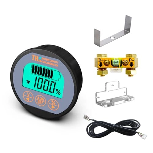 AiLi Voltmeter Ammeter - 100V 350A 999AH