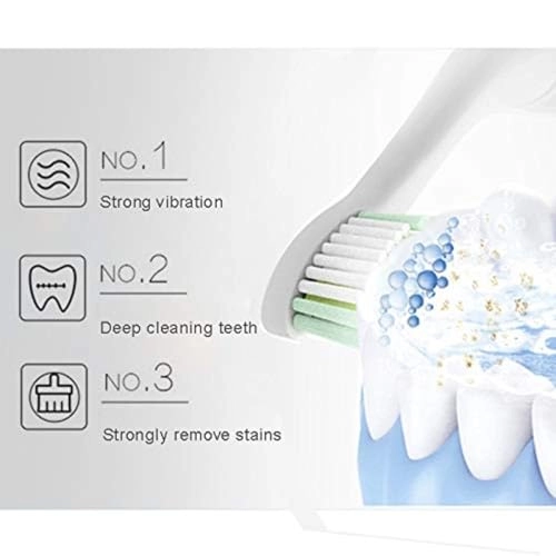 Sonic Electric Toothbrush - 4 Free Replacement Heads USB Fast Charging Pink