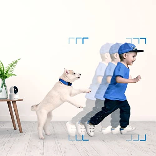 360° Wifi Dome Camera + Smart Plug