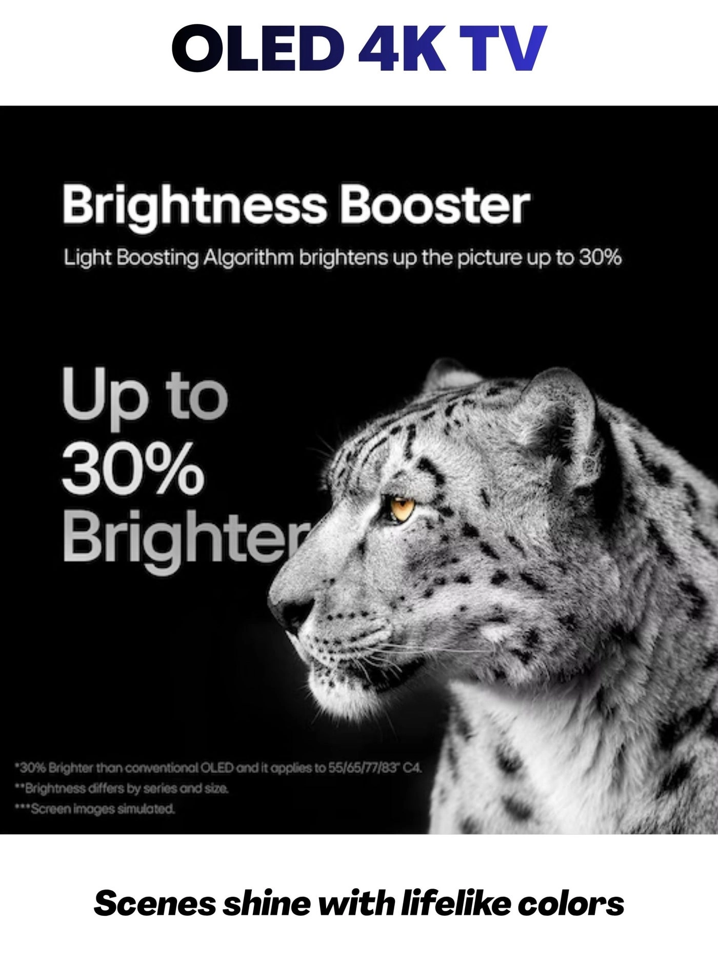 OLED55CS4VA+SOUNDBAR - 55 in