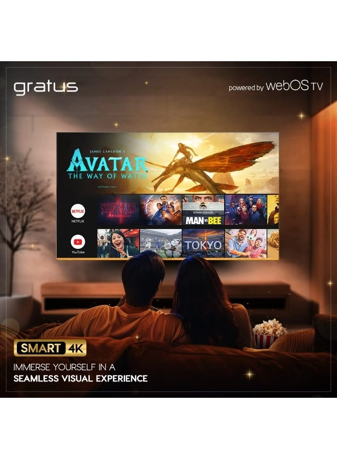 LT75W4K23H - 75-Inch