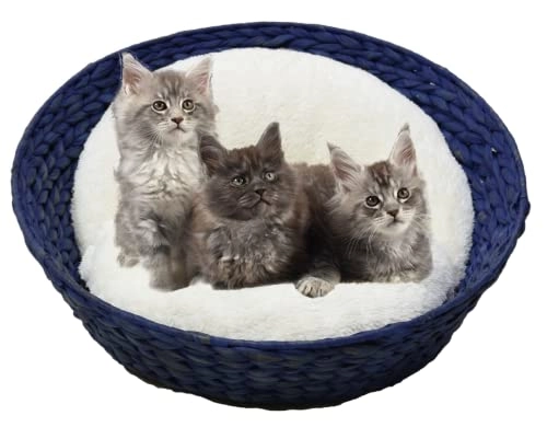 Green Basket - Fur, Suede
