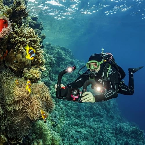 3000 Color Boost - 120deg + Flex-Connect Ultra Dual Tray