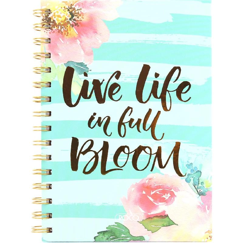 Notebook 19 X 26 cm Spiral - Grid 100 Sheets