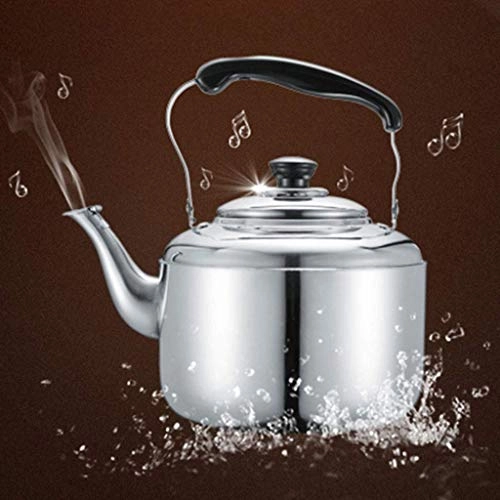 Stovetop Induction Whistling Kettle - 5L