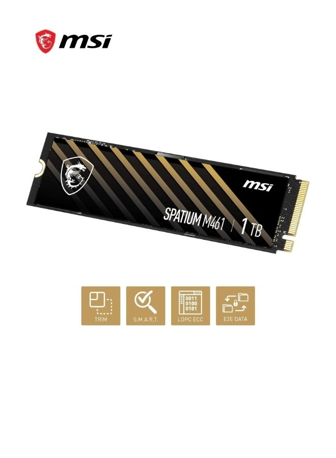 SPATIUM M461 - 1TB M.2