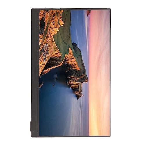 Portable Monitor - Fhd 14 Inches