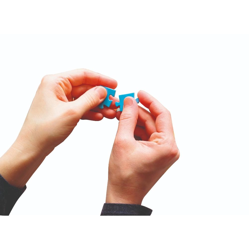 The Blues Brothers Cult Movie Puzzle (ALGT-35109) - 500 pcs