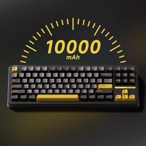 TAC87 - Wired/Wireless