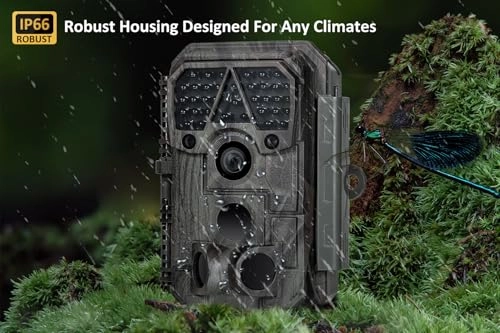 P70 - 64 megapixel Pack