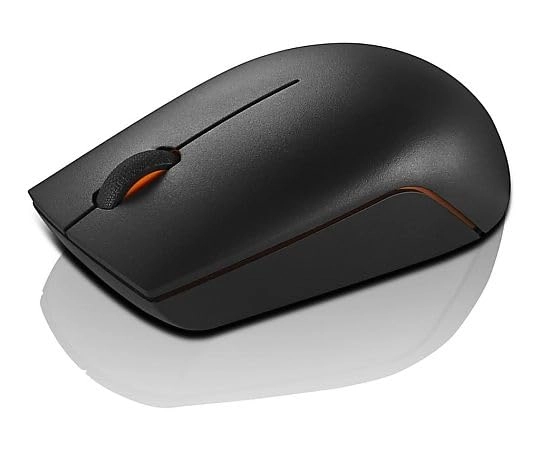 300 Compact Mouse - Wireless