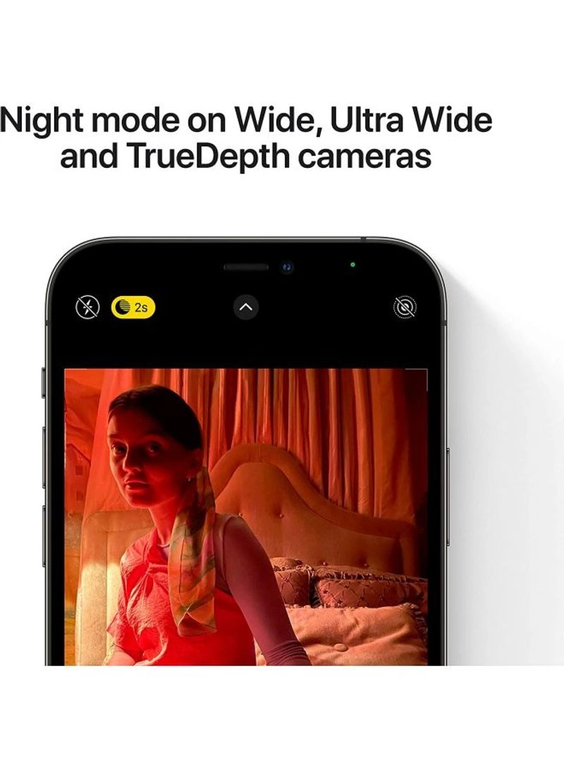 (Renewed) iPhone 12 Pro Max - 256GB