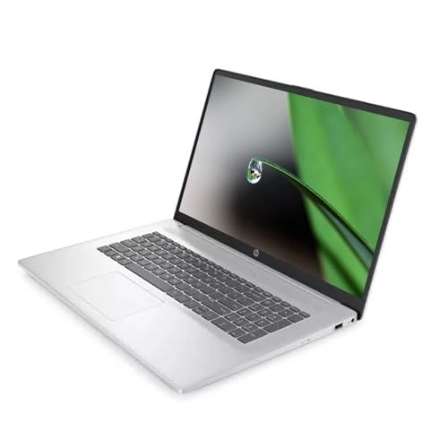 17 - 17.3'' Pentium Silver N5030 32GB 1000GB