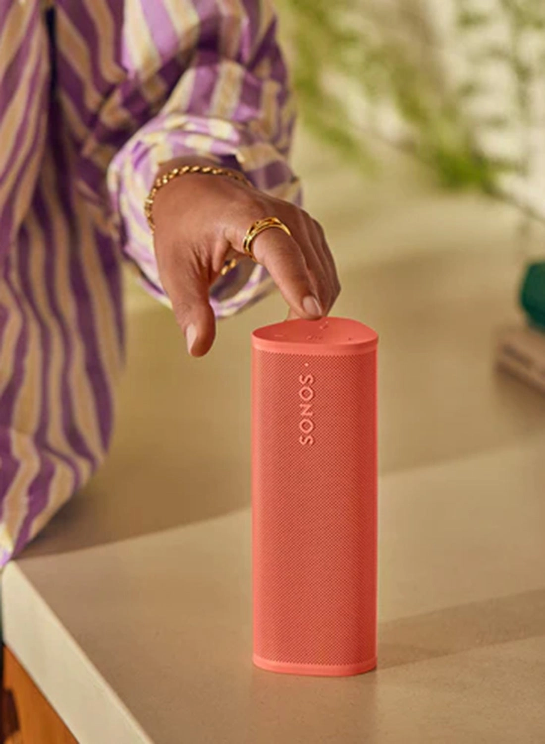 Roam 2 - Voice Enabled