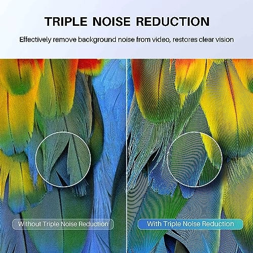 RB32FN1CS - 32 Inches