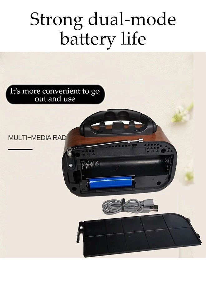 Radio Speaker - Portable