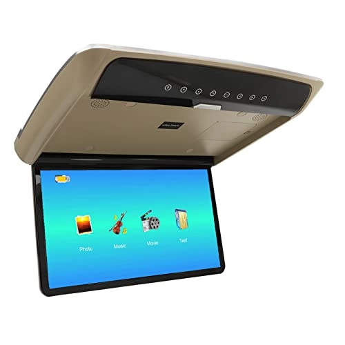 Car Overhead Player - 15.6in