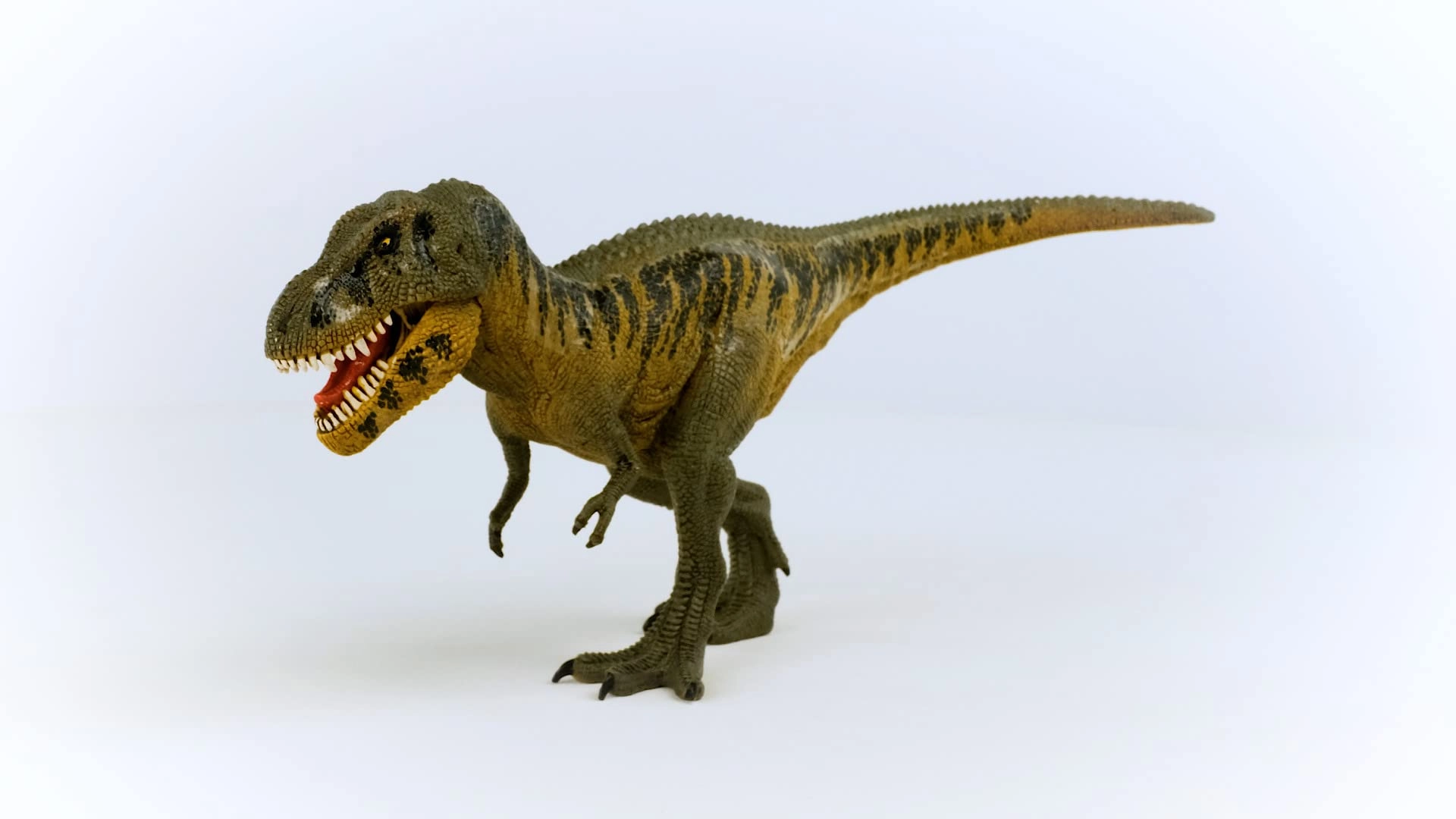 Tarbosaurus - 4+ Dinosaurs 1