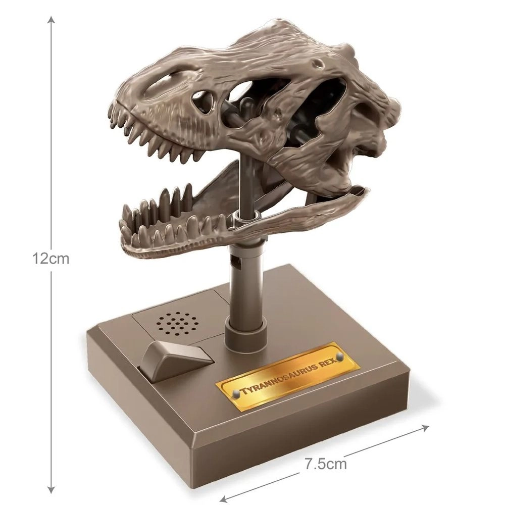 Roaring T-Rex Skull Science Kit