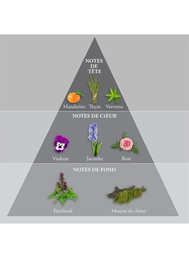 Whisky Eau de Toilette 100 ml