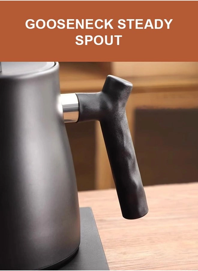 Gooseneck Electric Kettle Black