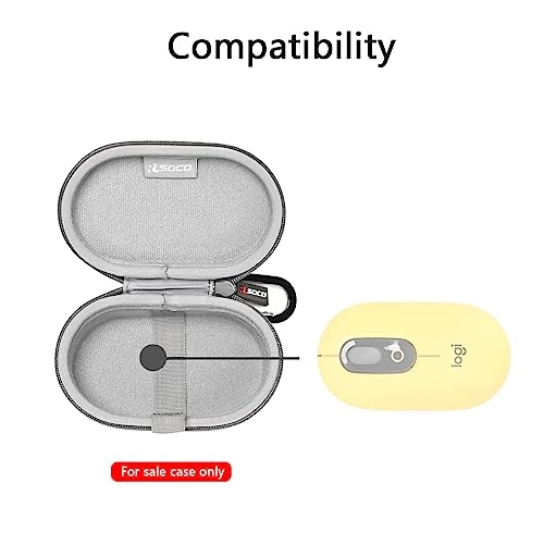 Carrying Case - Wireless
