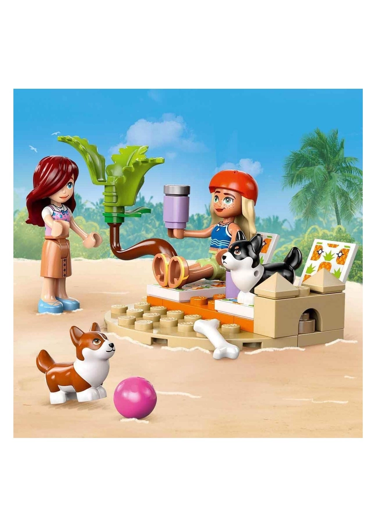 Friends Surfing Dogs and Scooter Adventure (42641)