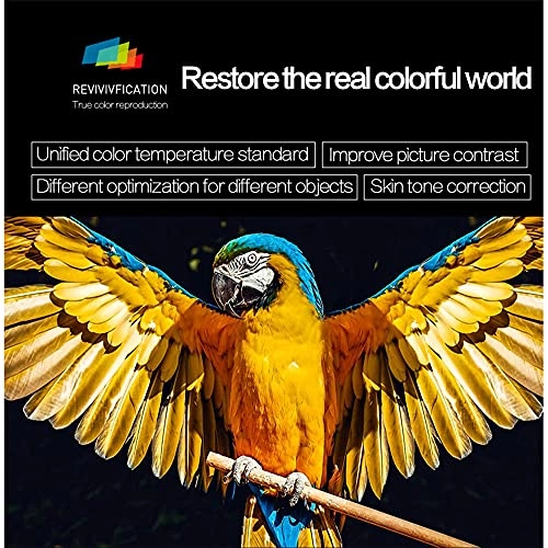 T10 PROJ-WO-55-W 200 ansi Lumens