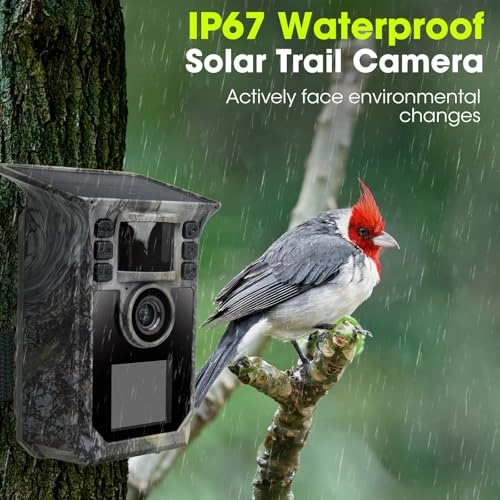 Solar Trail Camera - 64MP