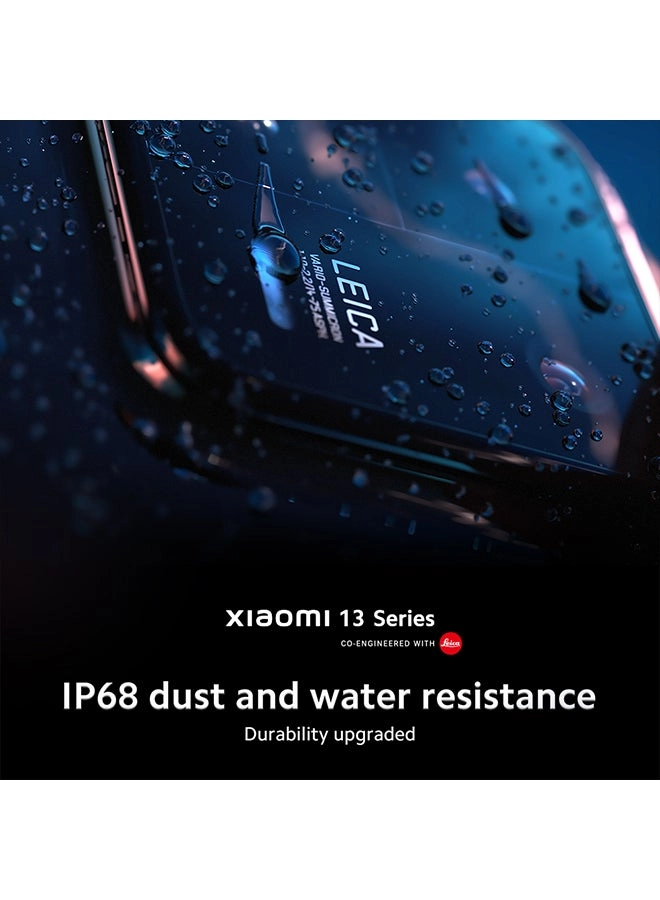 13 - 12GB 256GB