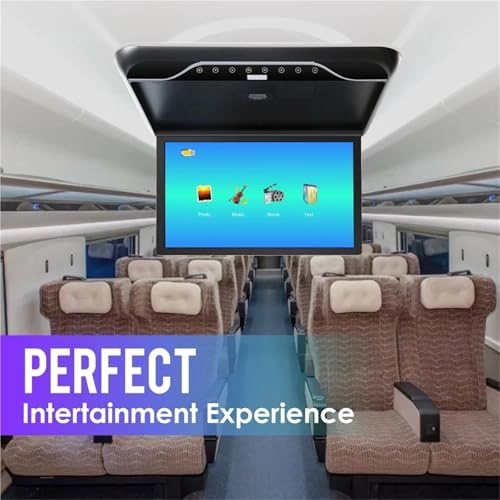 Roofmount LCD Monitor - 19in