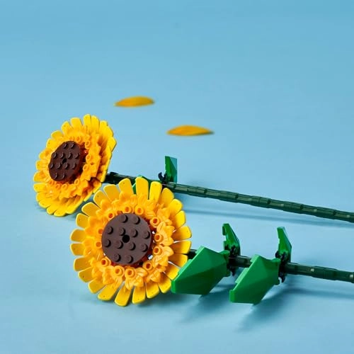 Sunflowers (40524)