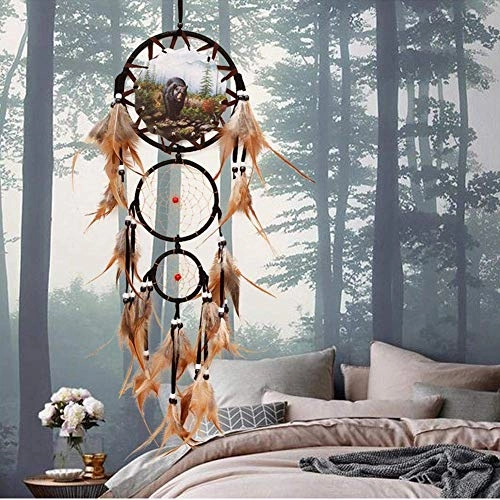 Dreamcatcher - Siderosphere, feathers, lines, wood beads.